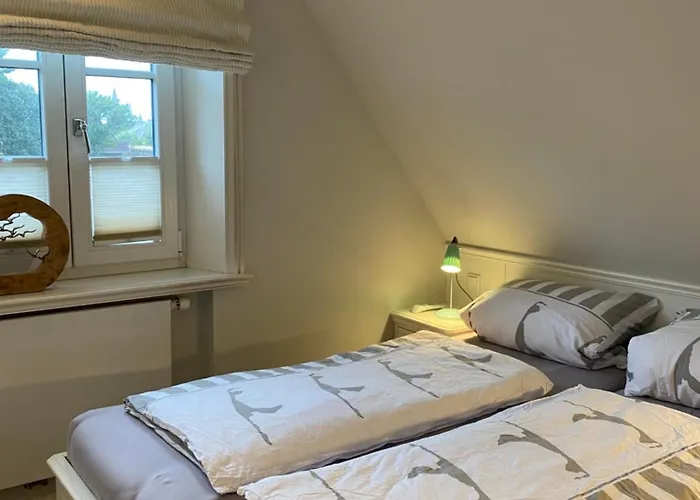 Gaadt-sternchen Daire *